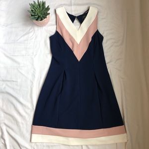 Enfocus Studio Navy, White and Pink dress